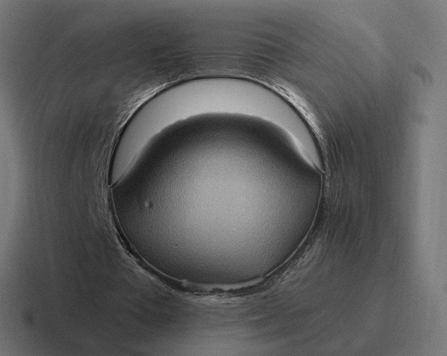 X0000116780385200912311901