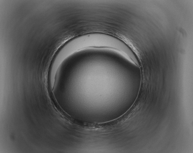 X0000116780386200912311901