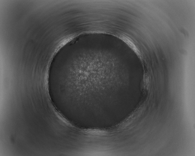 X0000116780389200912311901