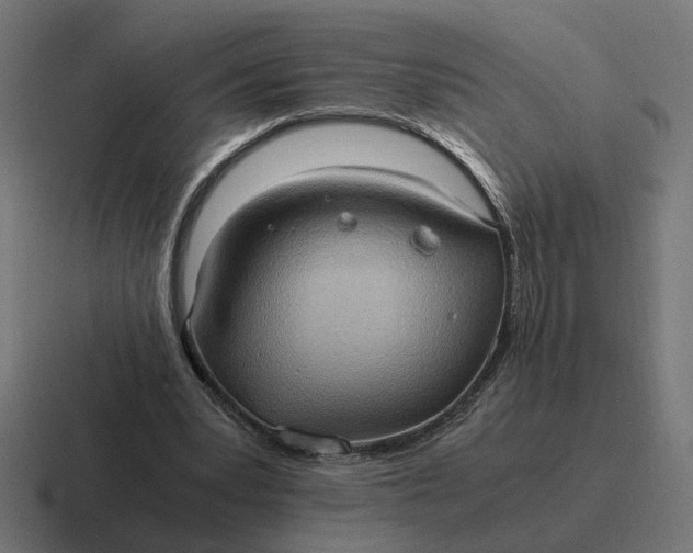 X0000116780391200912311901