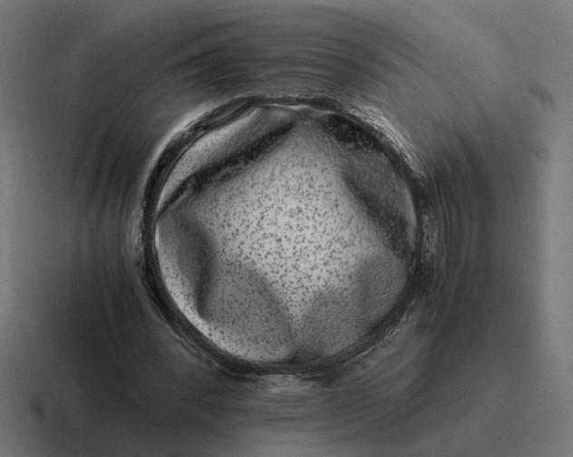 X0000116780392200912311901