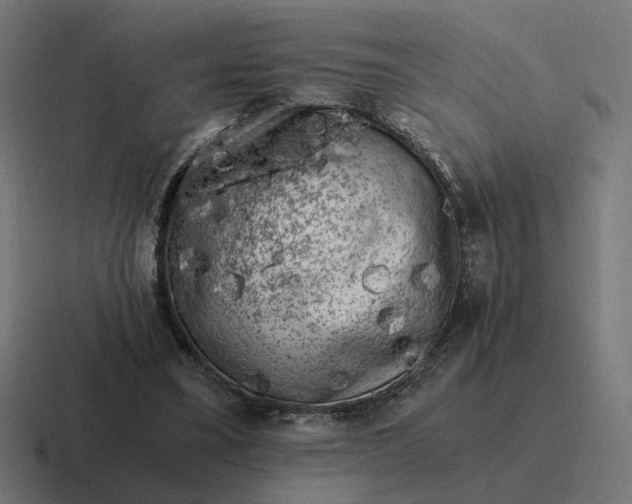 X0000116780395200912311901