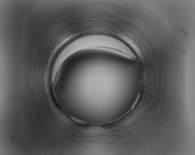 X0000116780399200912311901