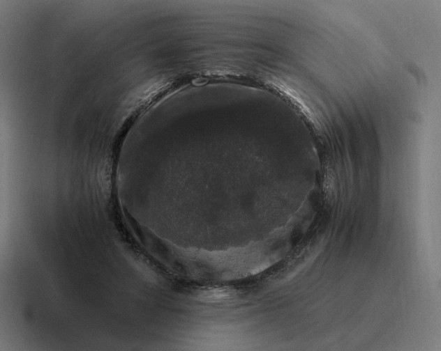 X0000116780402200912311901