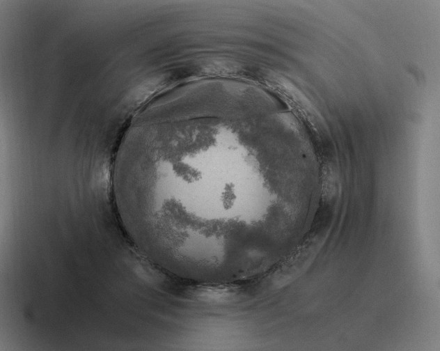 X0000116780405200912311901