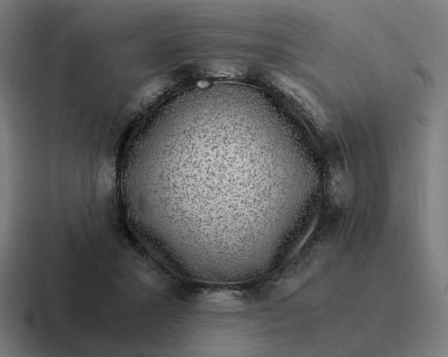 X0000116780407200912311901