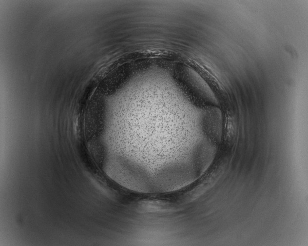 X0000116780408200912311901