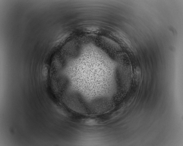 X0000116780412200912311901