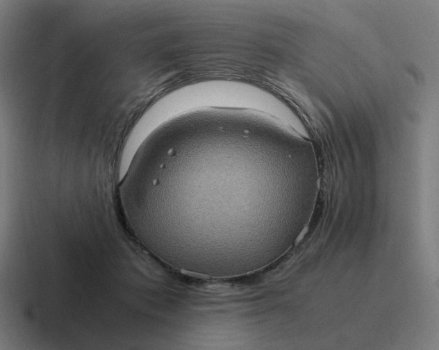 X0000116780413200912311901