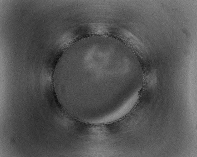 X0000116780415200912311901