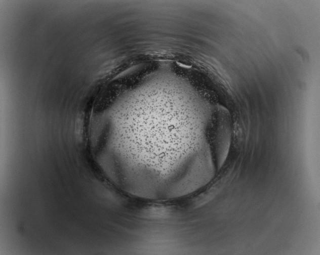 X0000116780416200912311901