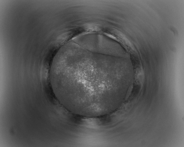 X0000116780417200912311901