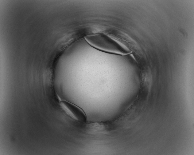 X0000116780421200912311901