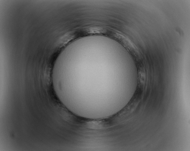 X0000116780422200912311901