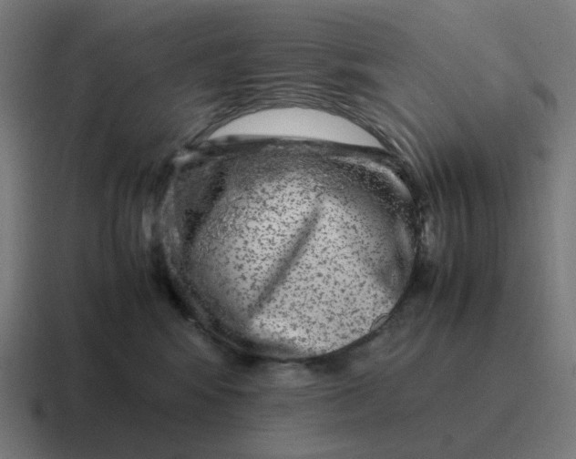 X0000116780424200912311901