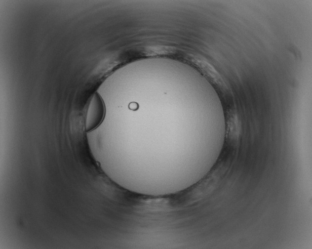 X0000116780426200912311901