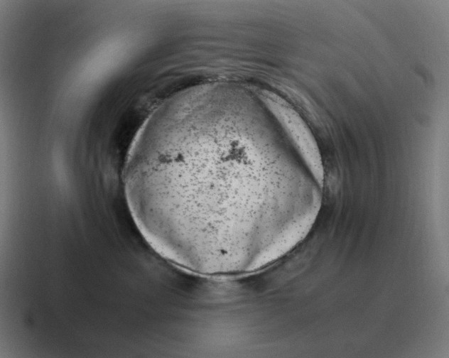 X0000116780429200912311901