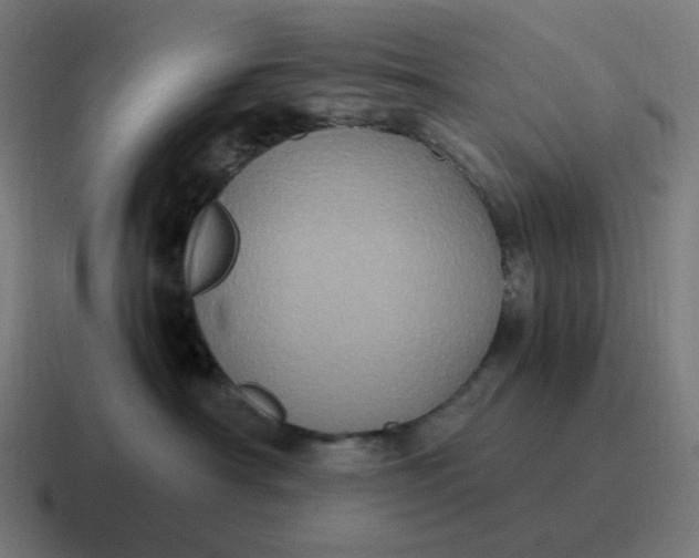 X0000116780430200912311901