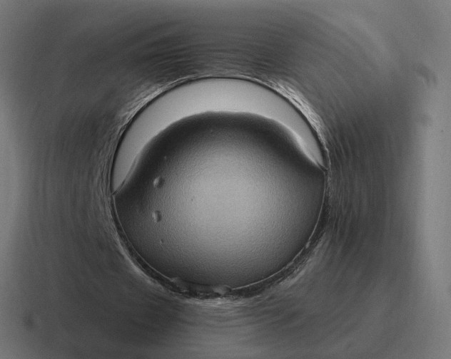 X0000116780433200912311900