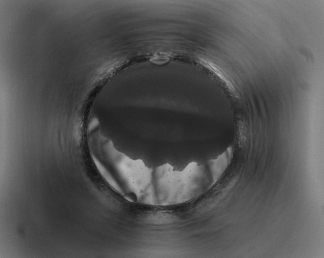 X0000116780451200912311900