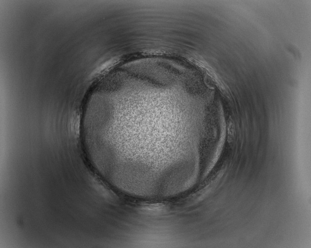 X0000116780454200912311901
