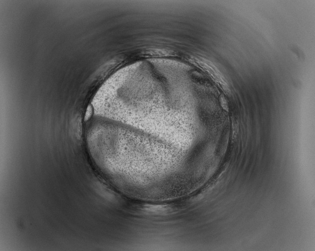 X0000116780457200912311901
