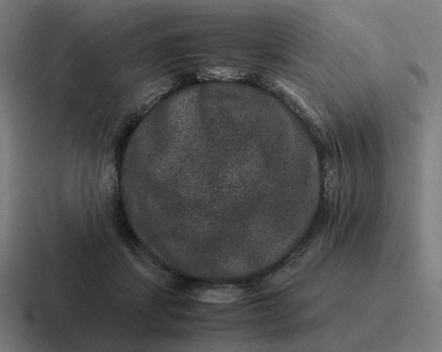 X0000116780459200912311901