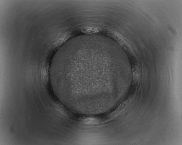 X0000116780460200912311901