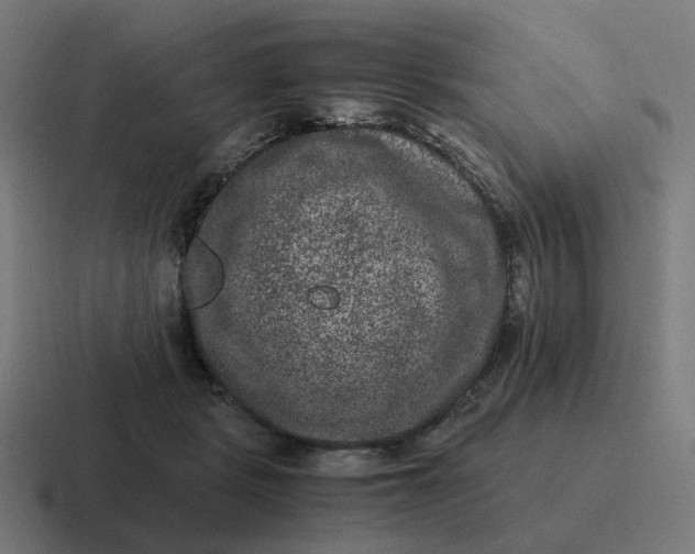 X0000116780461200912311901