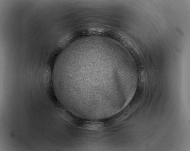 X0000116780463200912311901