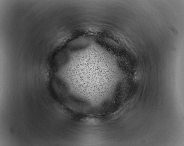 X0000116780464200912311901