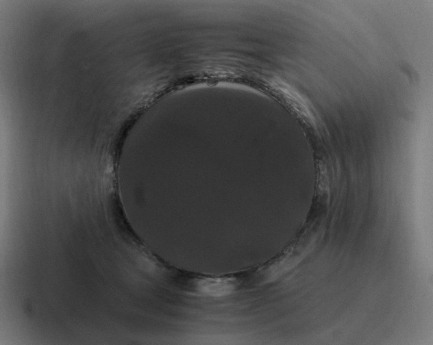 X0000116780465200912311901