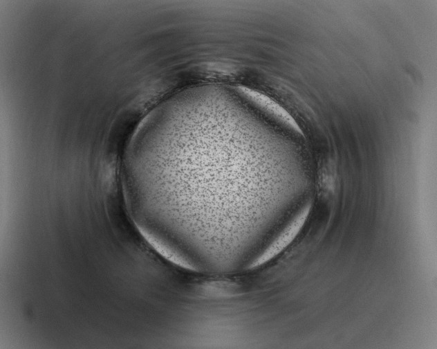 X0000116780468200912311901