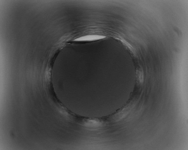 X0000116780475200912311901