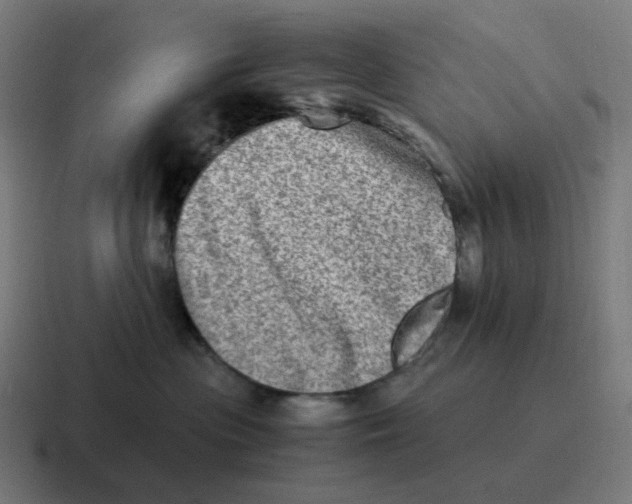 X0000116780477200912311901