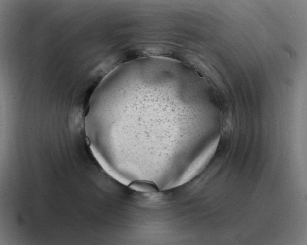 X0000116780478200912311901