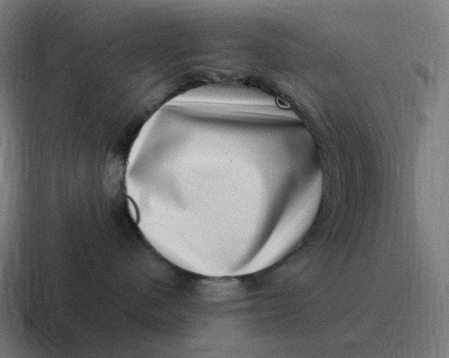 X0000116780480200912311901
