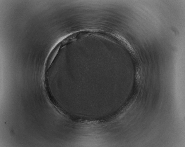 X0000116780484200912311900