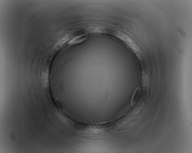 X0000116780489200912311900
