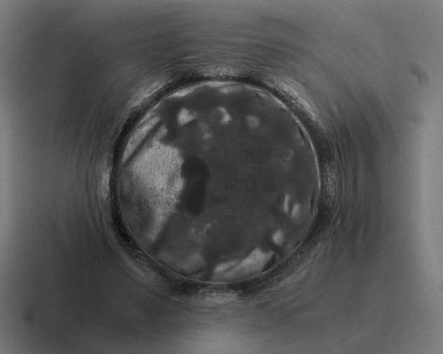 X0000116780491200912311900