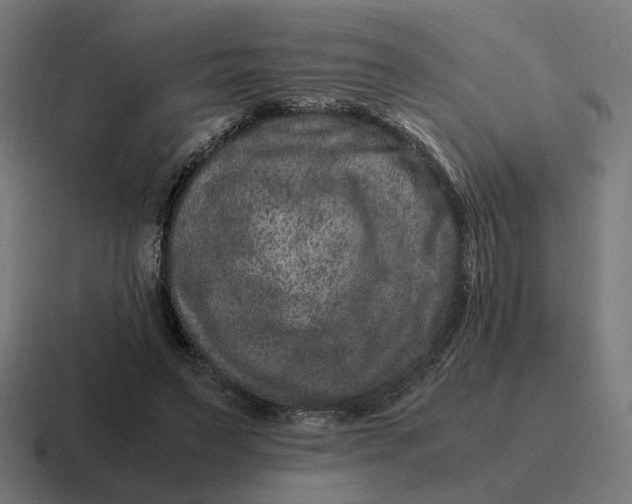 X0000116780495200912311900