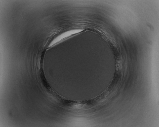 X0000116780504200912311900