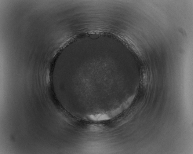 X0000116780508200912311900