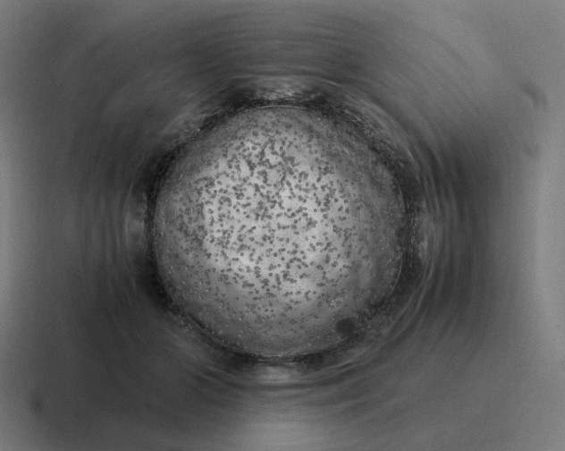 X0000116780510200912311900