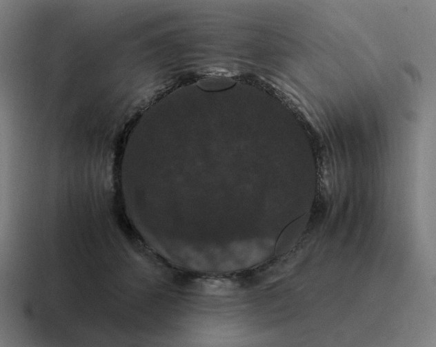 X0000116780512200912311900