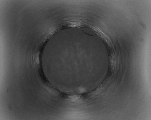 X0000116780516200912311900