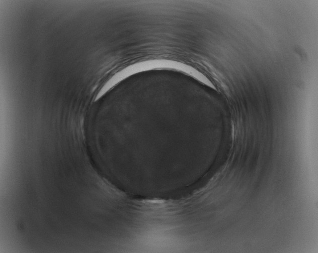 X0000116780524200912311900