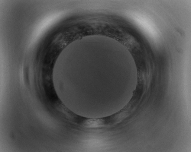 X0000116780526200912311900