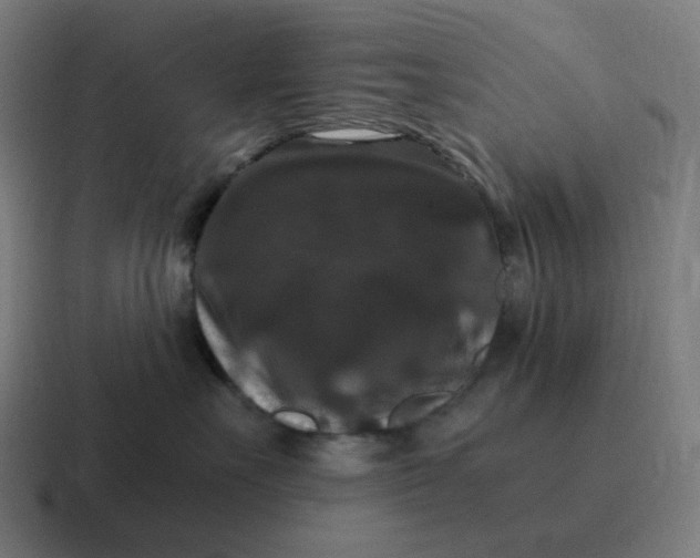 X0000116780527200912311900
