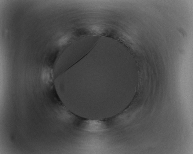 X0000116780528200912311900